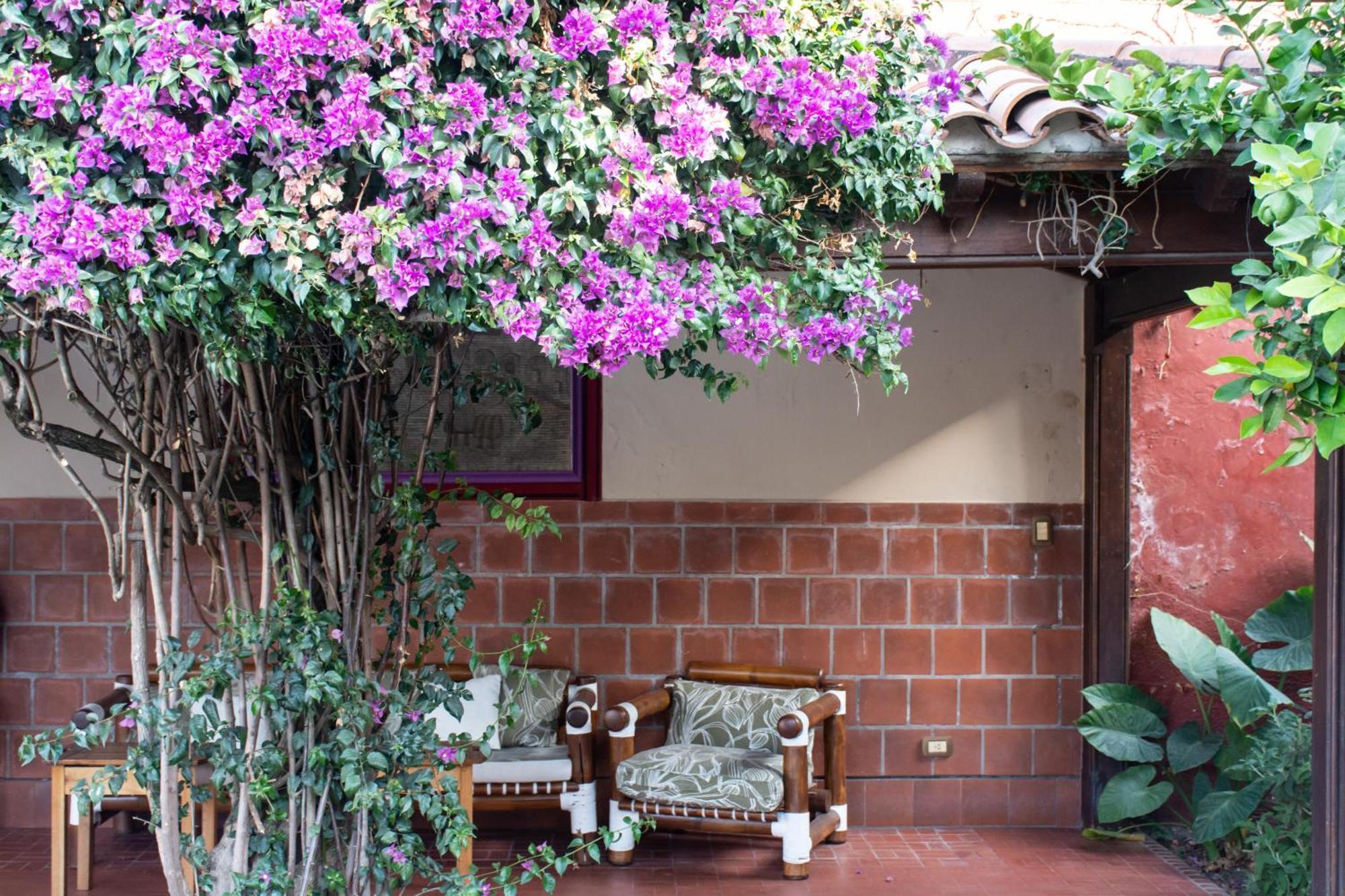 Hotel Boutique La Candela Salta Exteriér fotografie